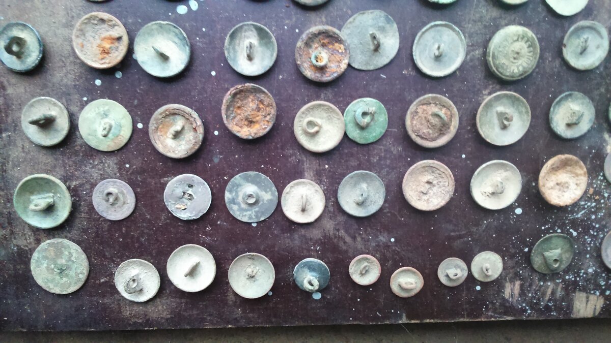 Альбом для коллекции пуговиц. Коллекция пуговиц. Коллекция пуговиц в детском. Номерные пуговицы. Коллекция пуговиц.