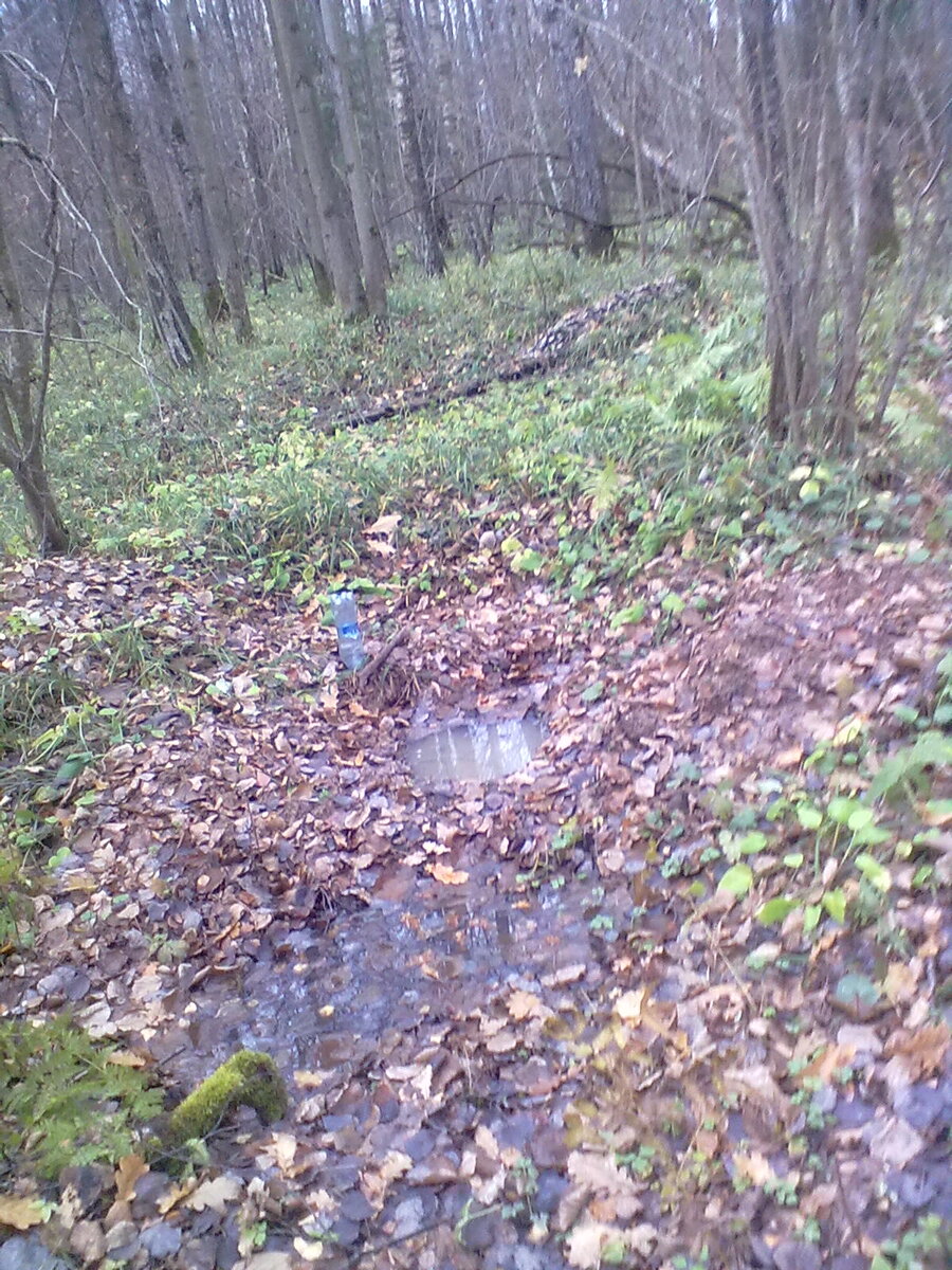211020131521.jpg