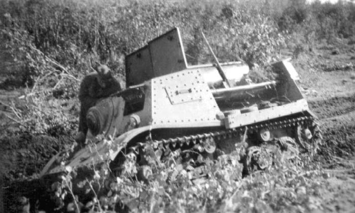 1 (229).jpg