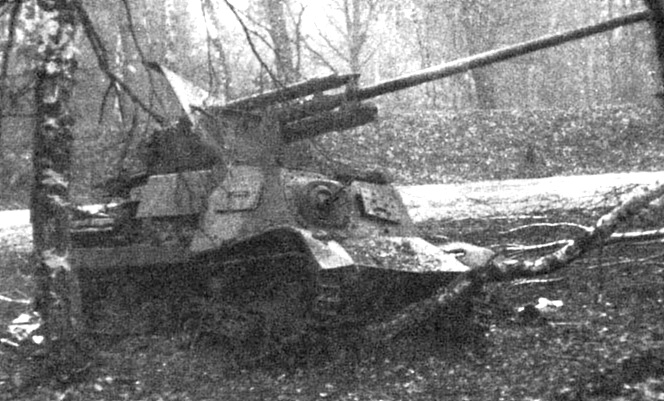 1 (339).jpg