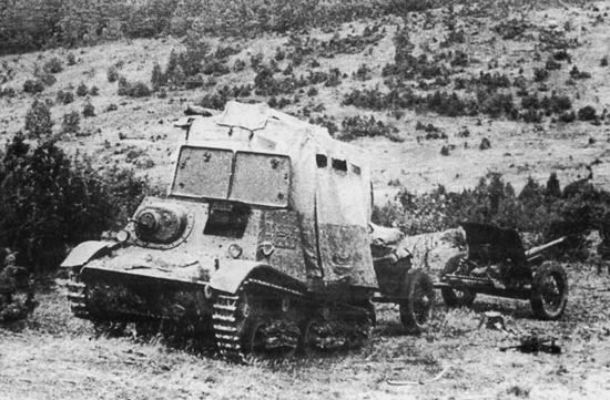 21715.jpg