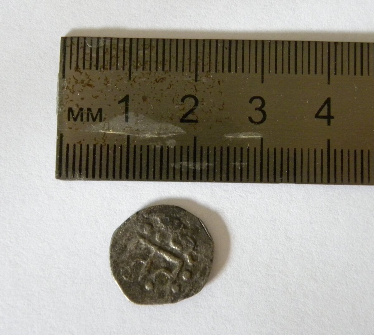 DSCN5650.JPG