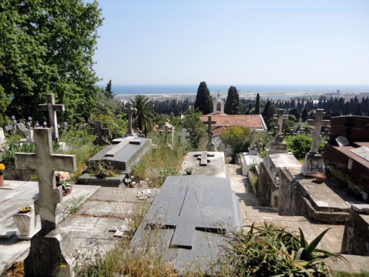 919191.jpg