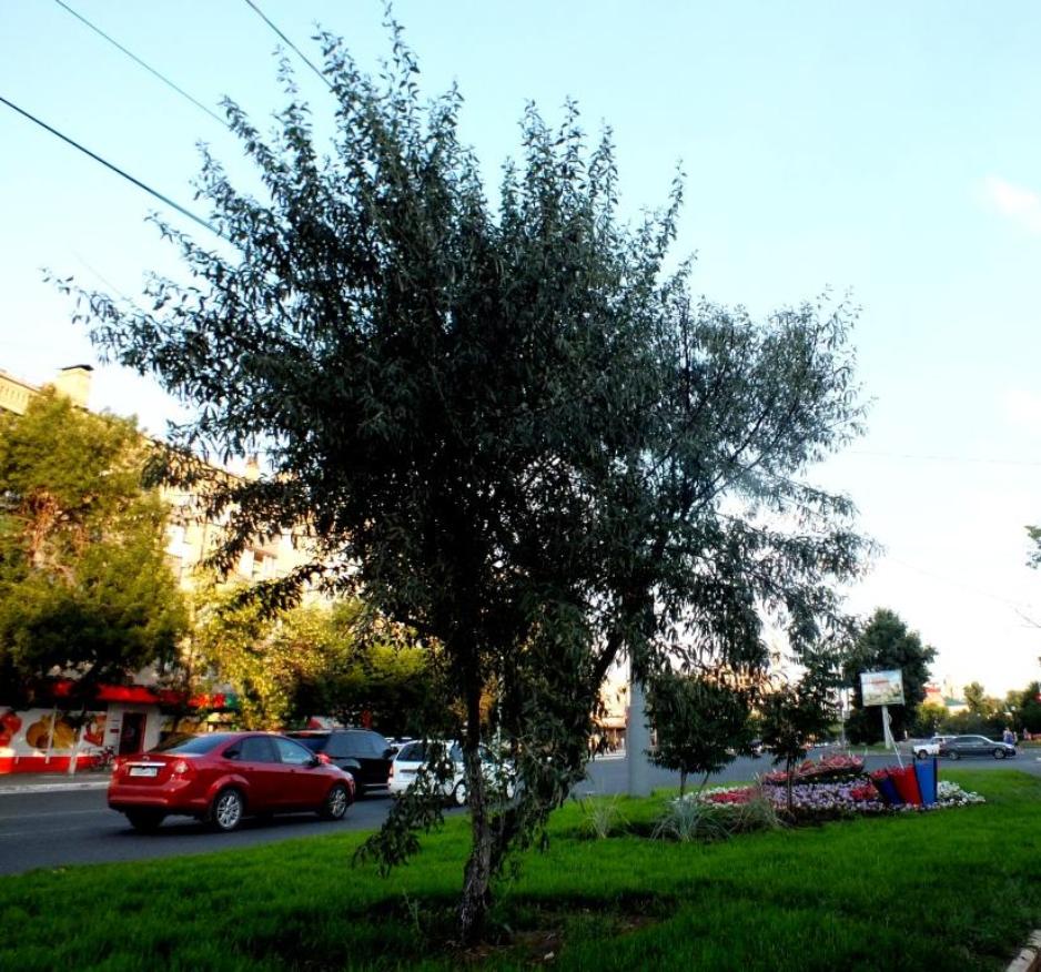 DSCF2935.JPG
