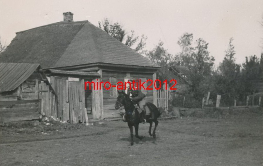 На коне.jpg