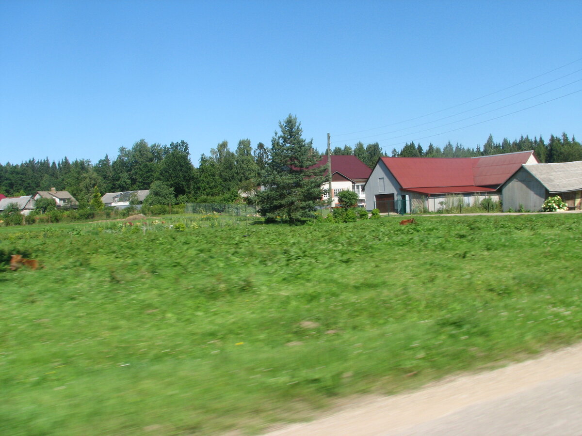 IMG_0018.JPG