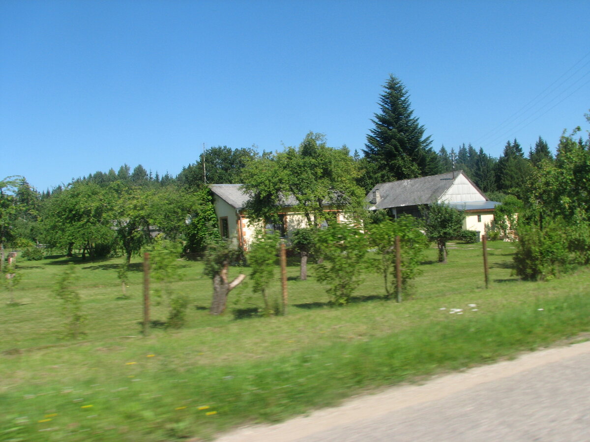 IMG_0019.JPG