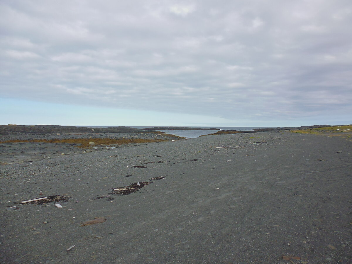 P1010937.JPG
