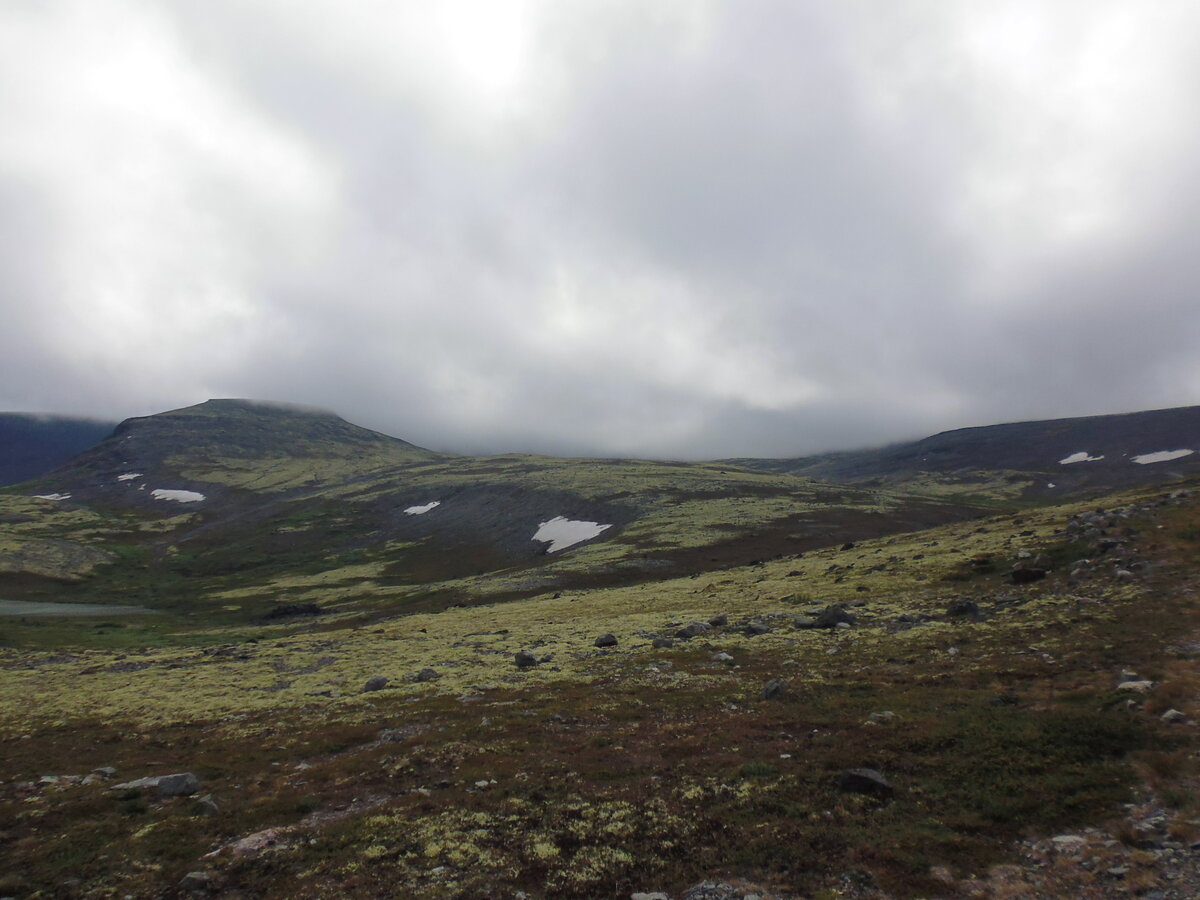 P1020004.JPG