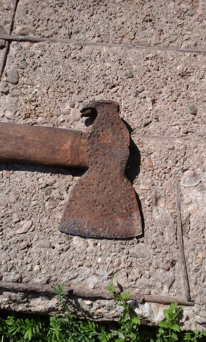 20150810_123503.jpg