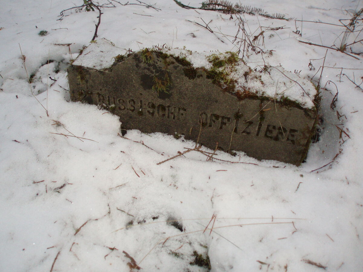 652_042.jpg