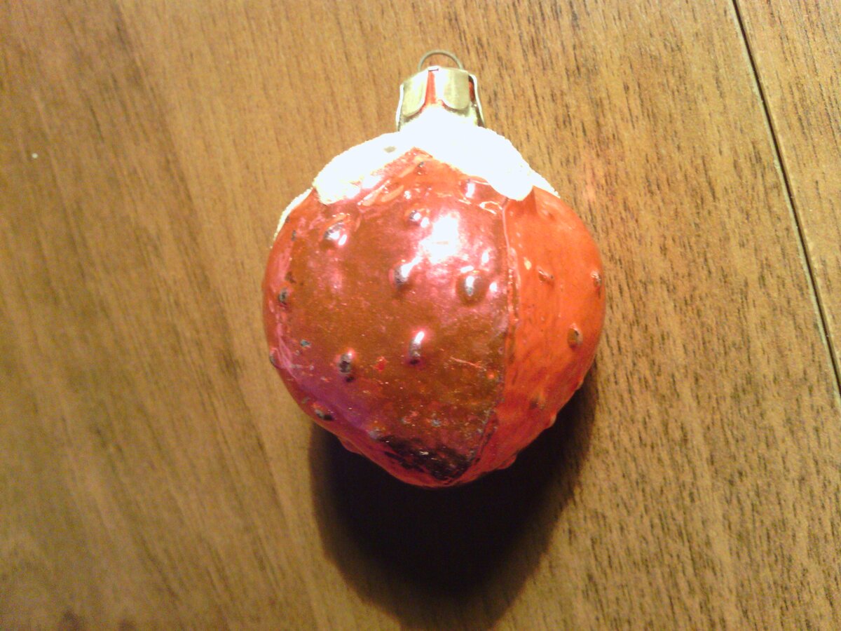 IMG_20121229_184305.jpg