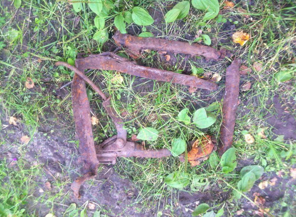 received_945546662174705.jpeg