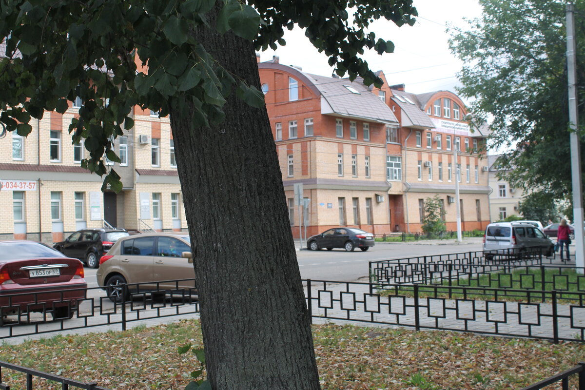 IMG_7353.JPG