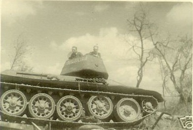 164079342.jpg