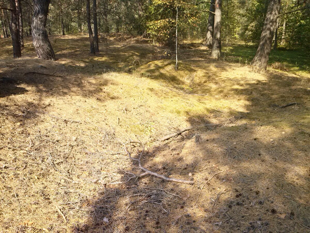CAM01571.jpg