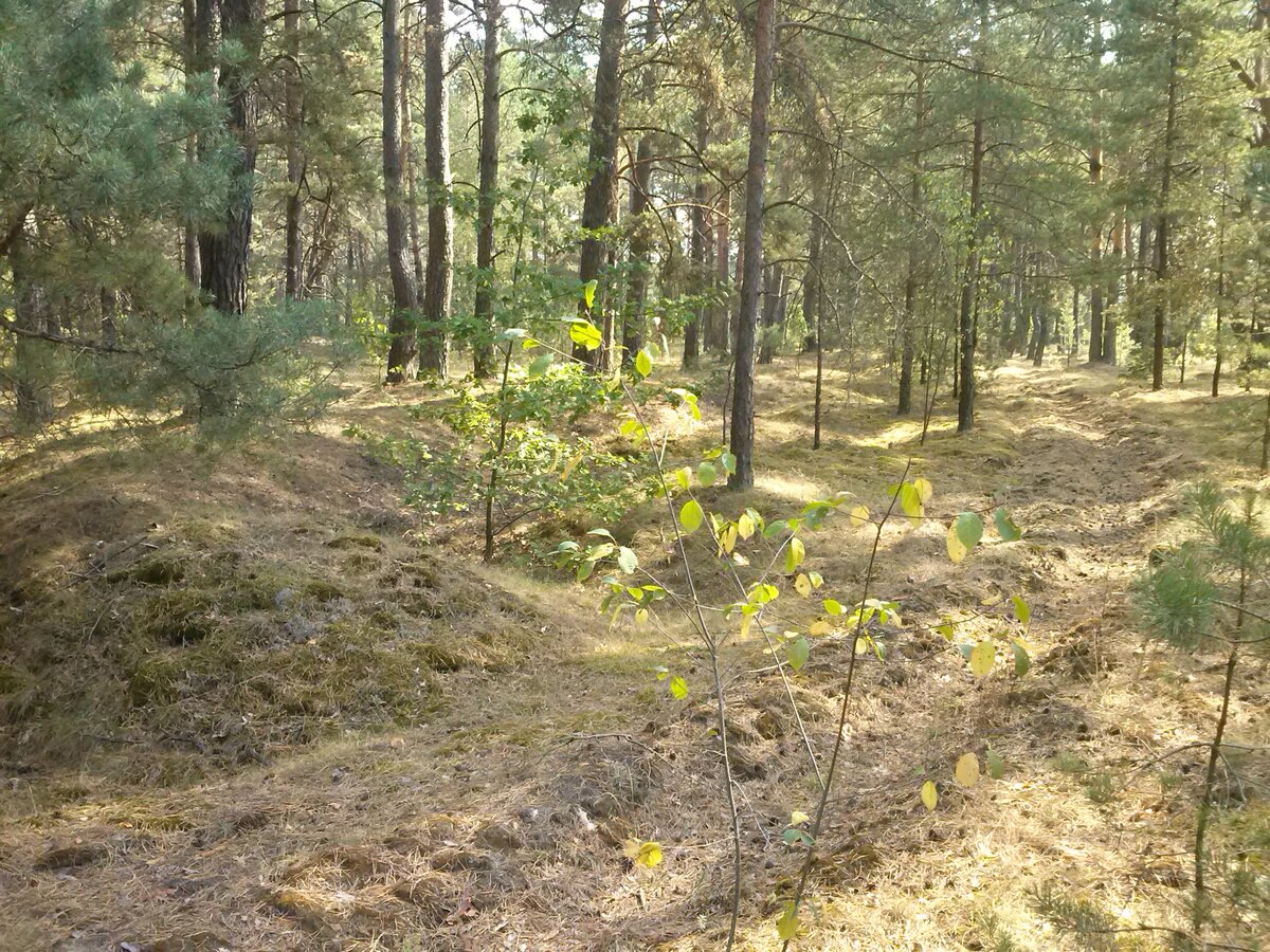 CAM01579.jpg