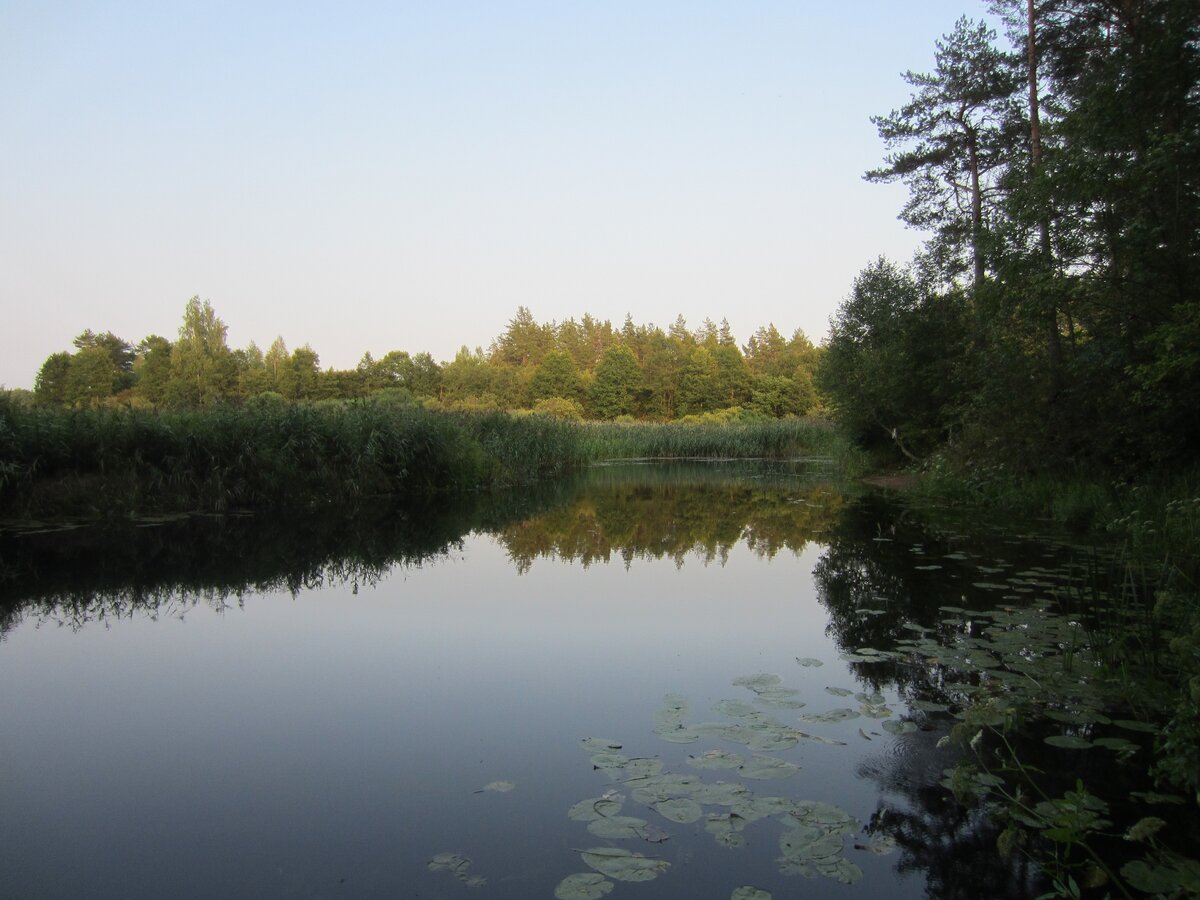 IMG_6425.JPG