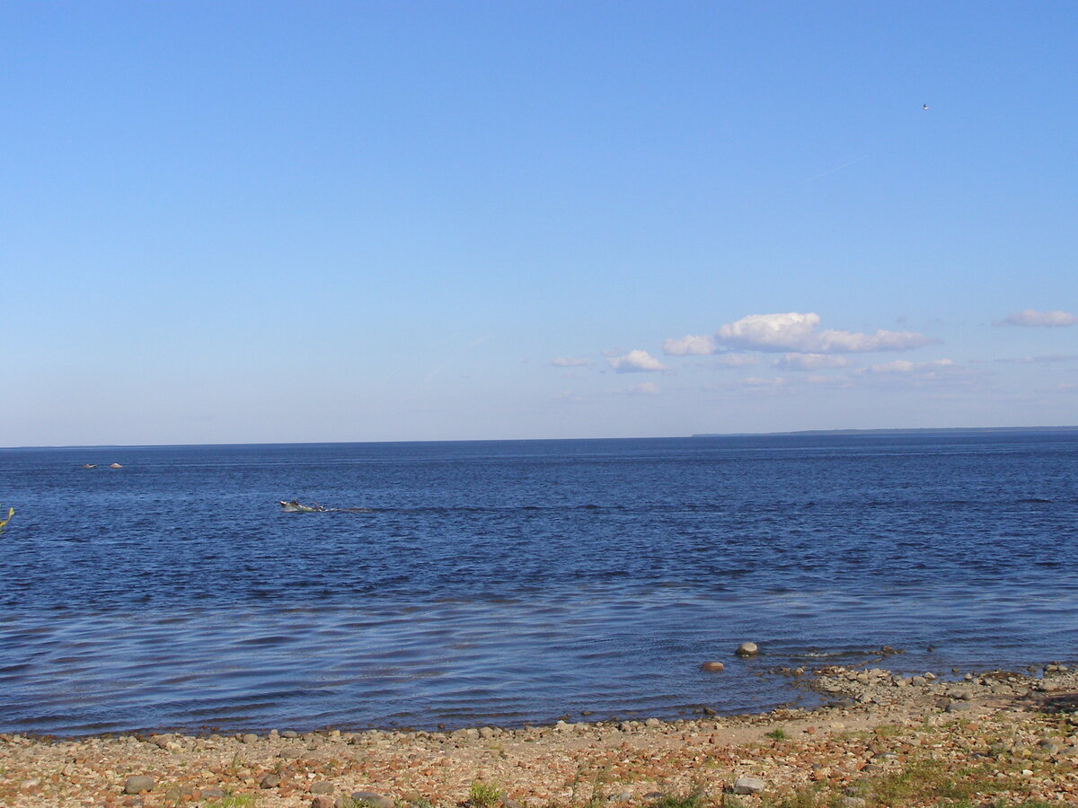 avgust 2015 173.jpg