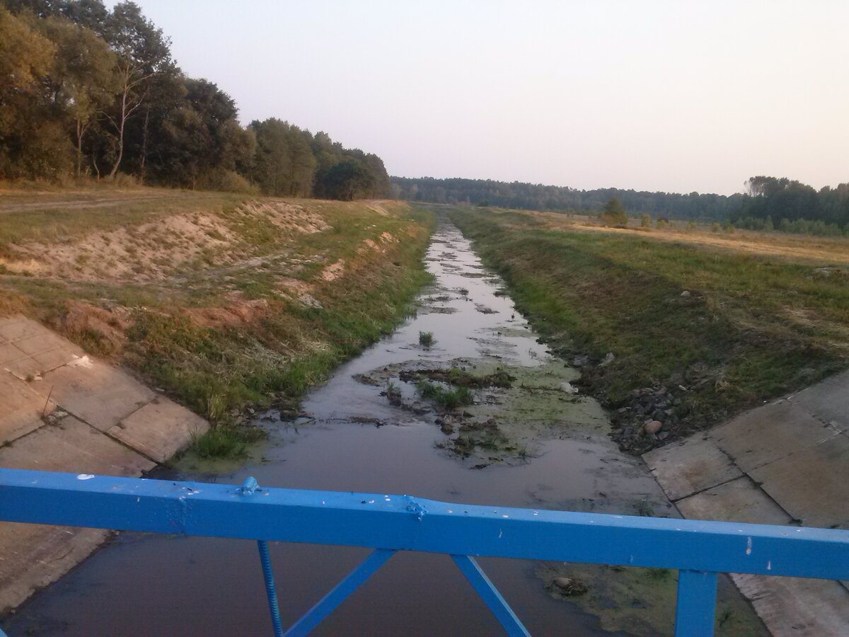 CAM01607.jpg