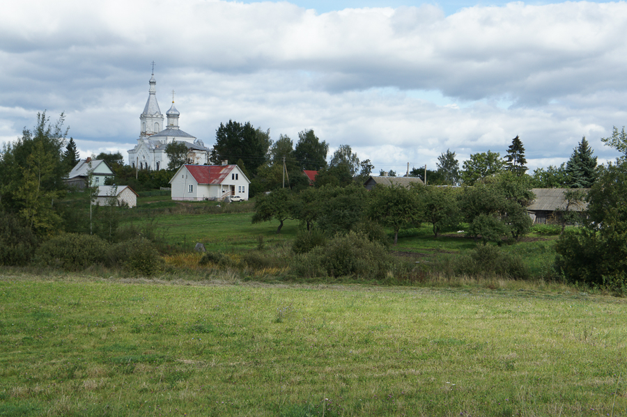 DSC07238.jpg