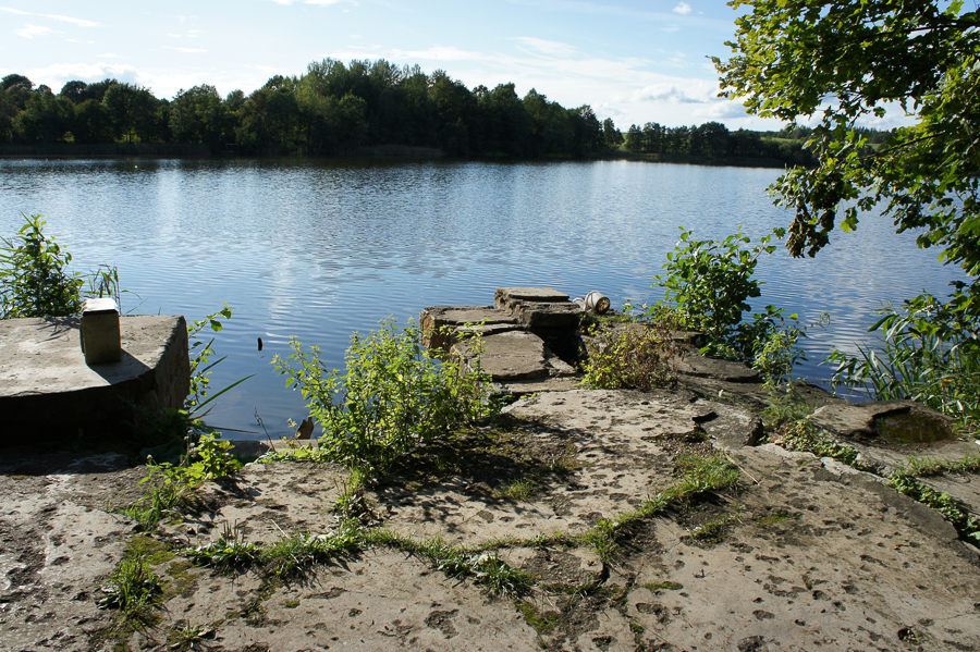 DSC07347.jpg