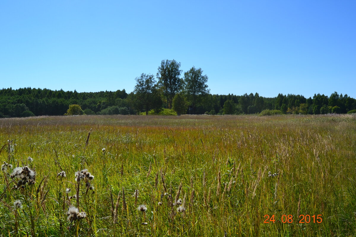 DSC_1435.JPG