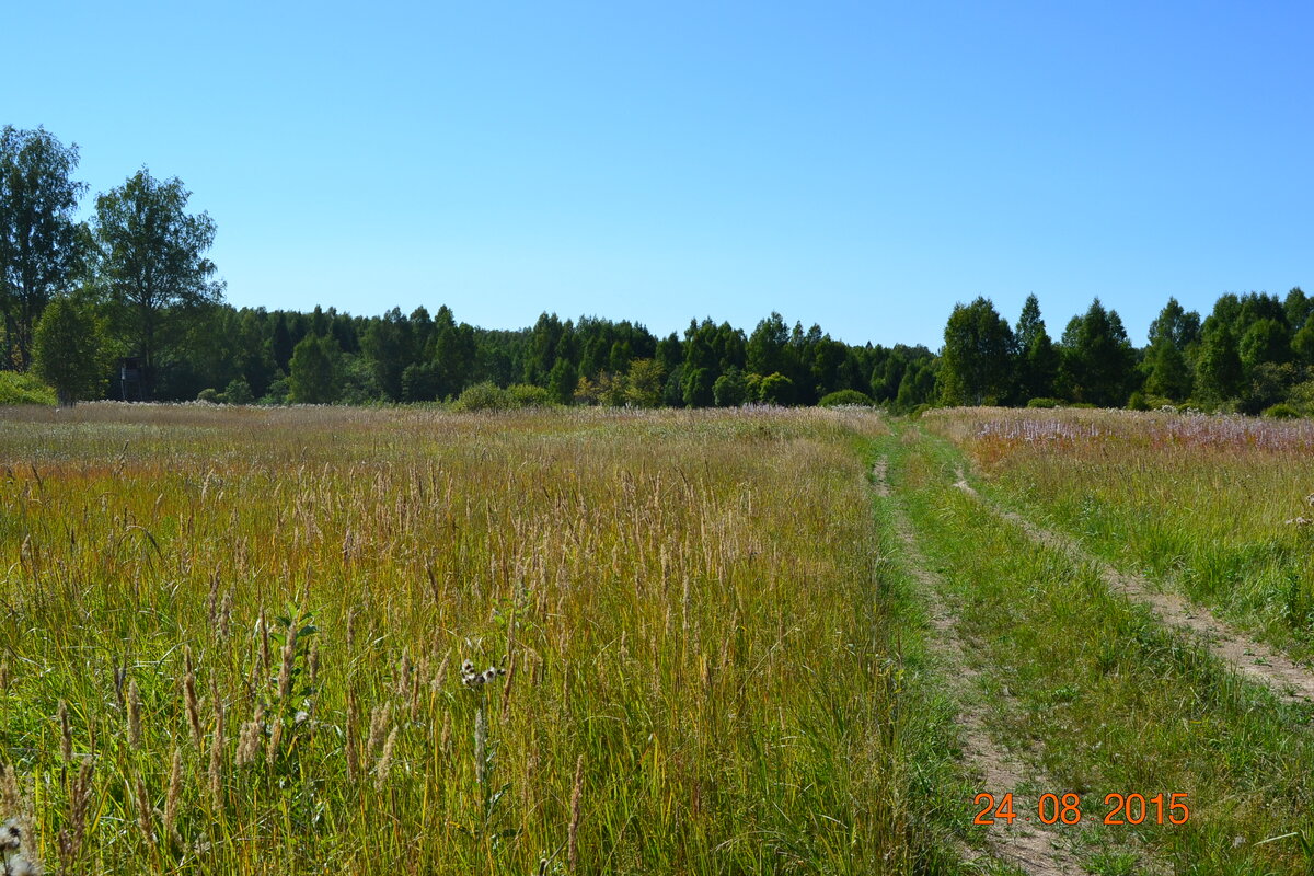 DSC_1437.JPG