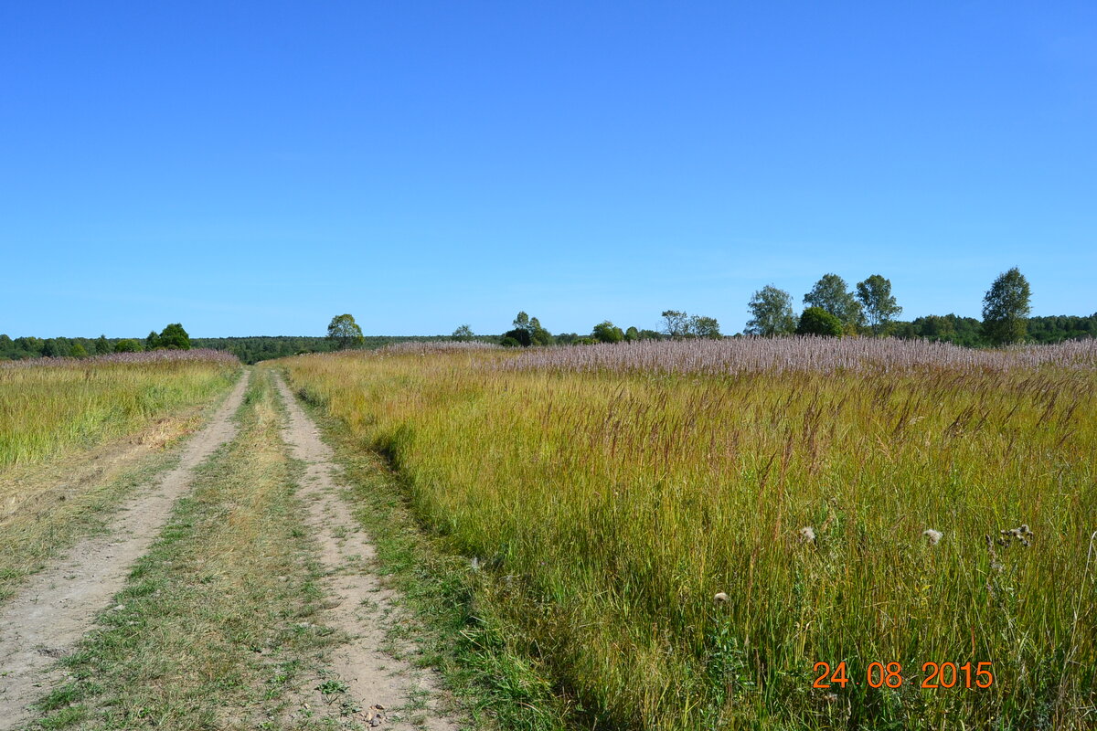 DSC_1443.JPG