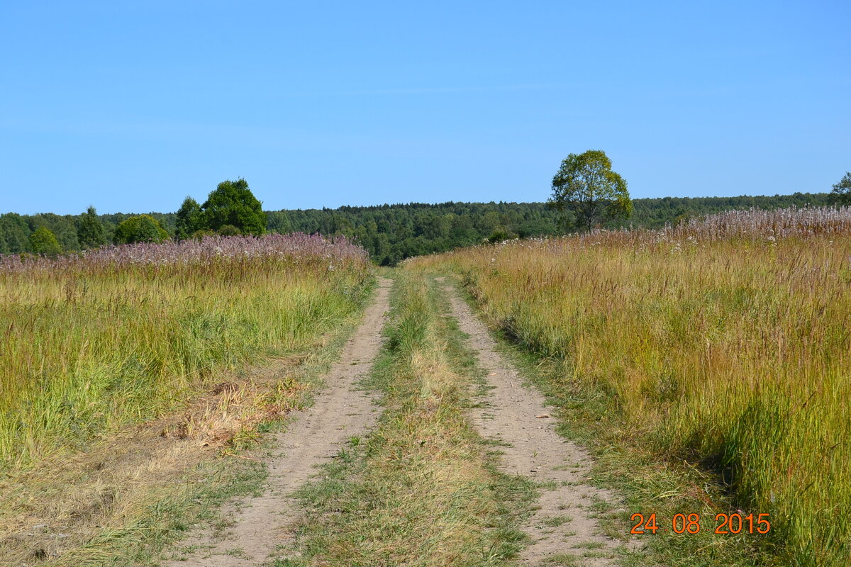 DSC_1447.JPG