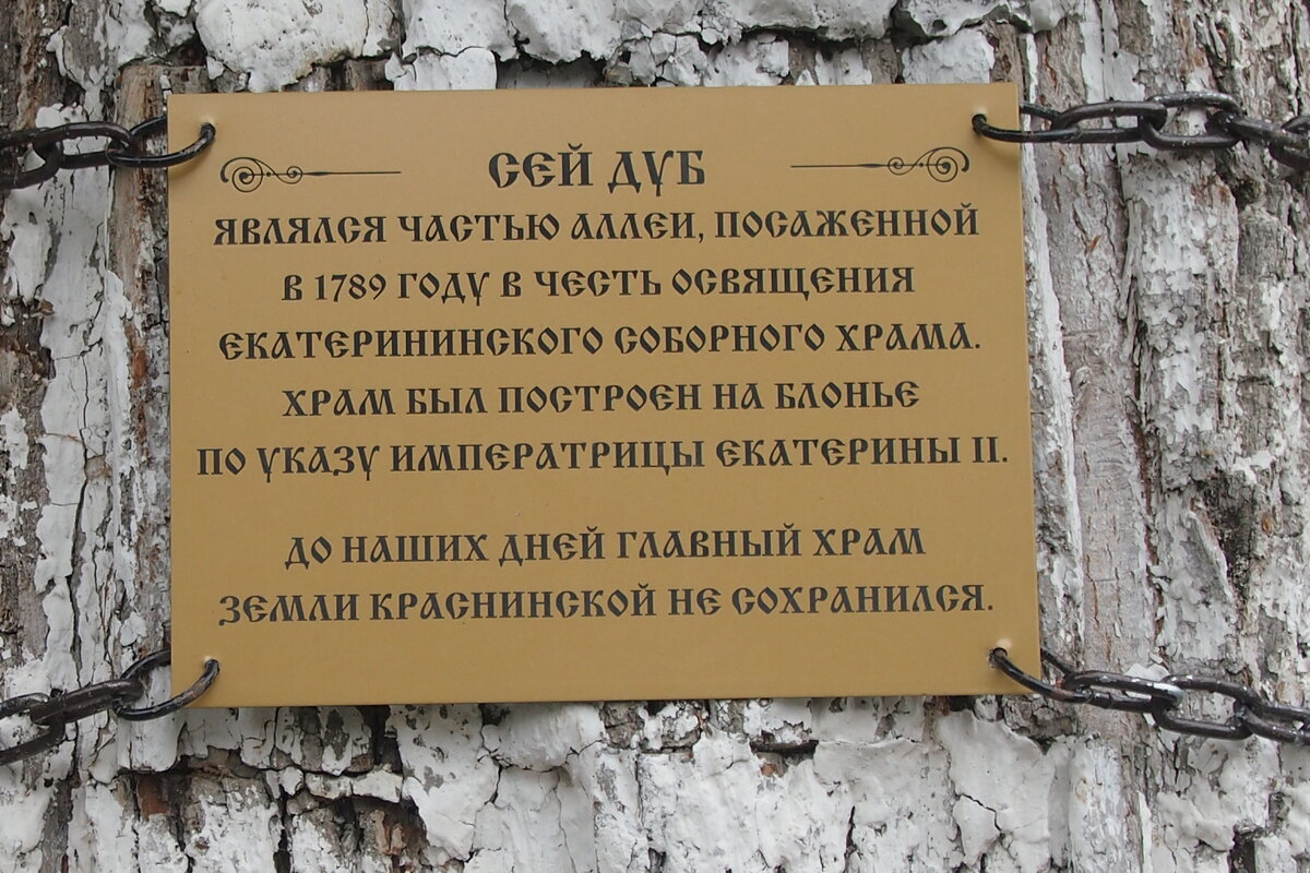 P1012032.JPG