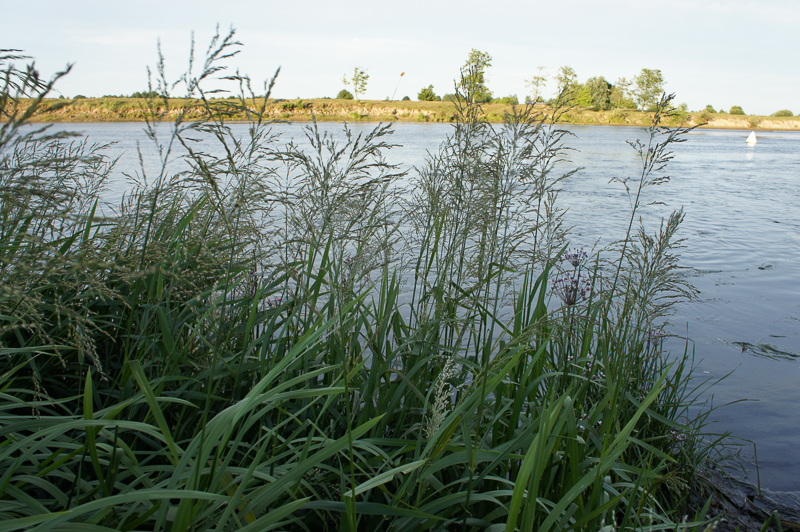 DSC09078.jpg