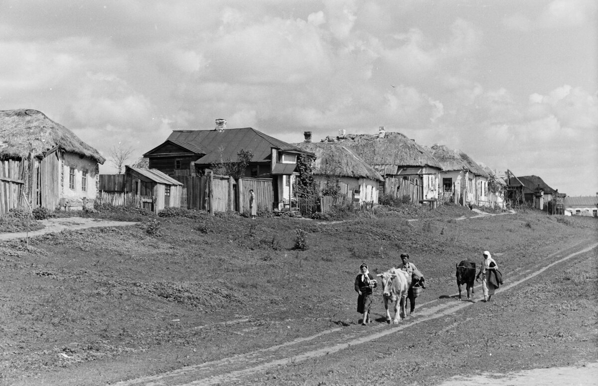 Старые поселения