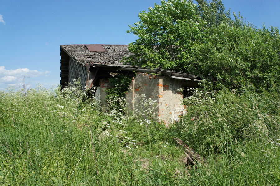 DSC05330.JPG