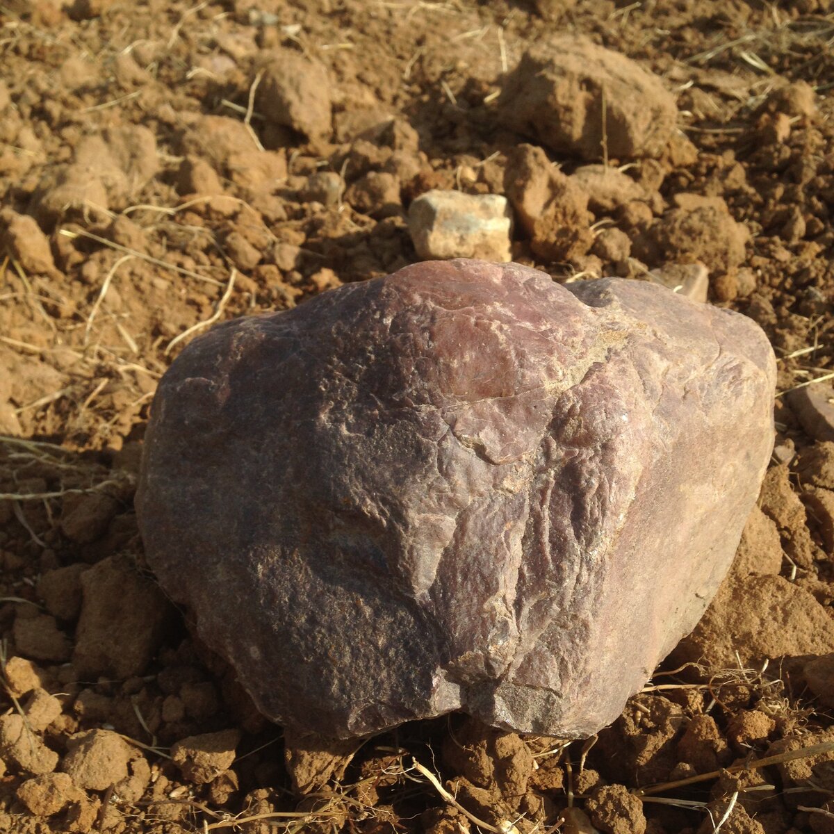 2015-08-28 16.05.51.JPG