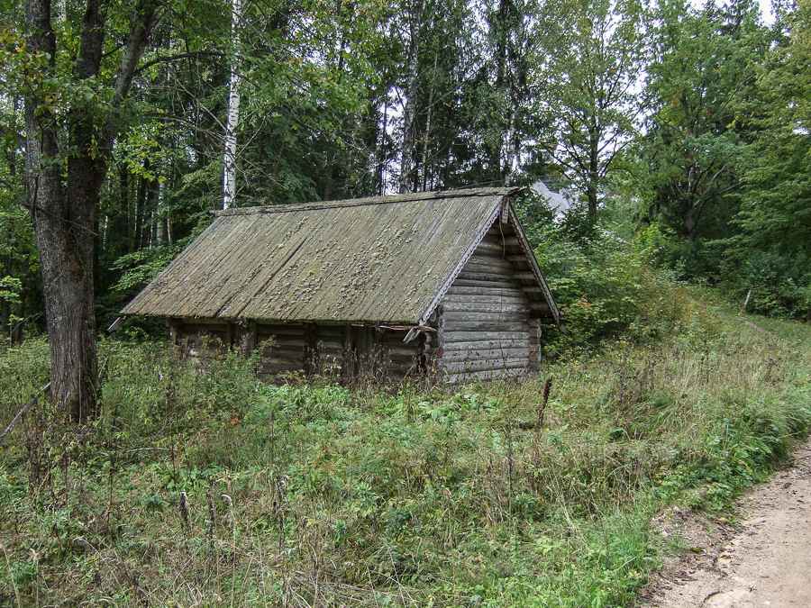 DSCF1608.jpg