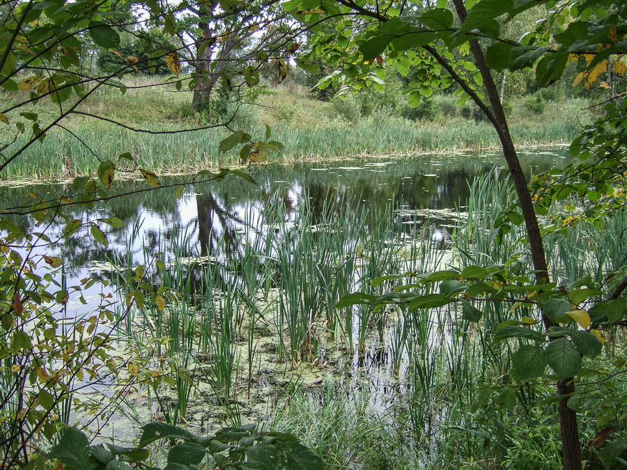 DSCF1629.jpg