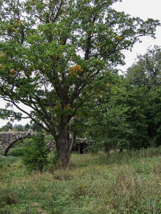DSCF1634.jpg