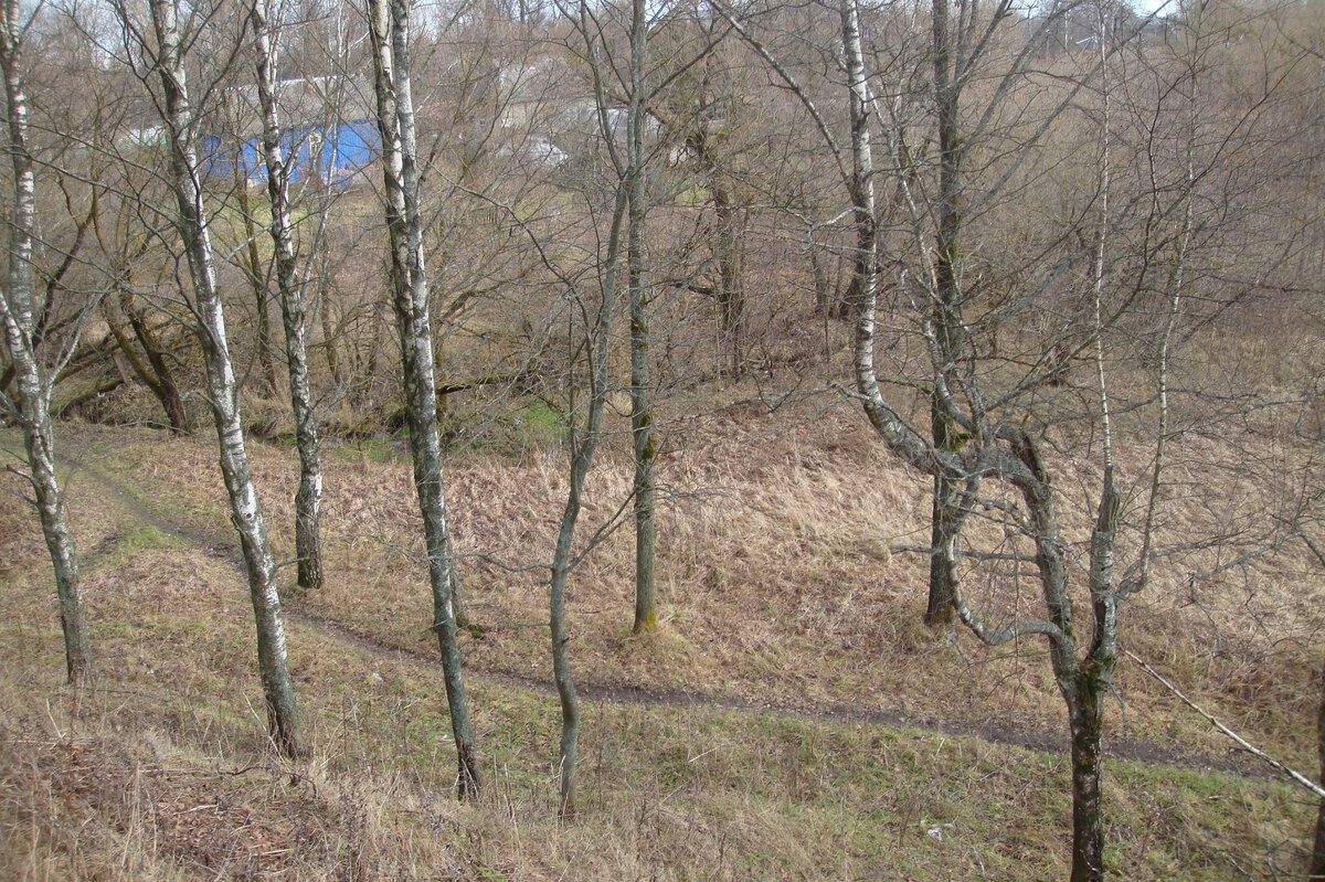 DSC02518.JPG