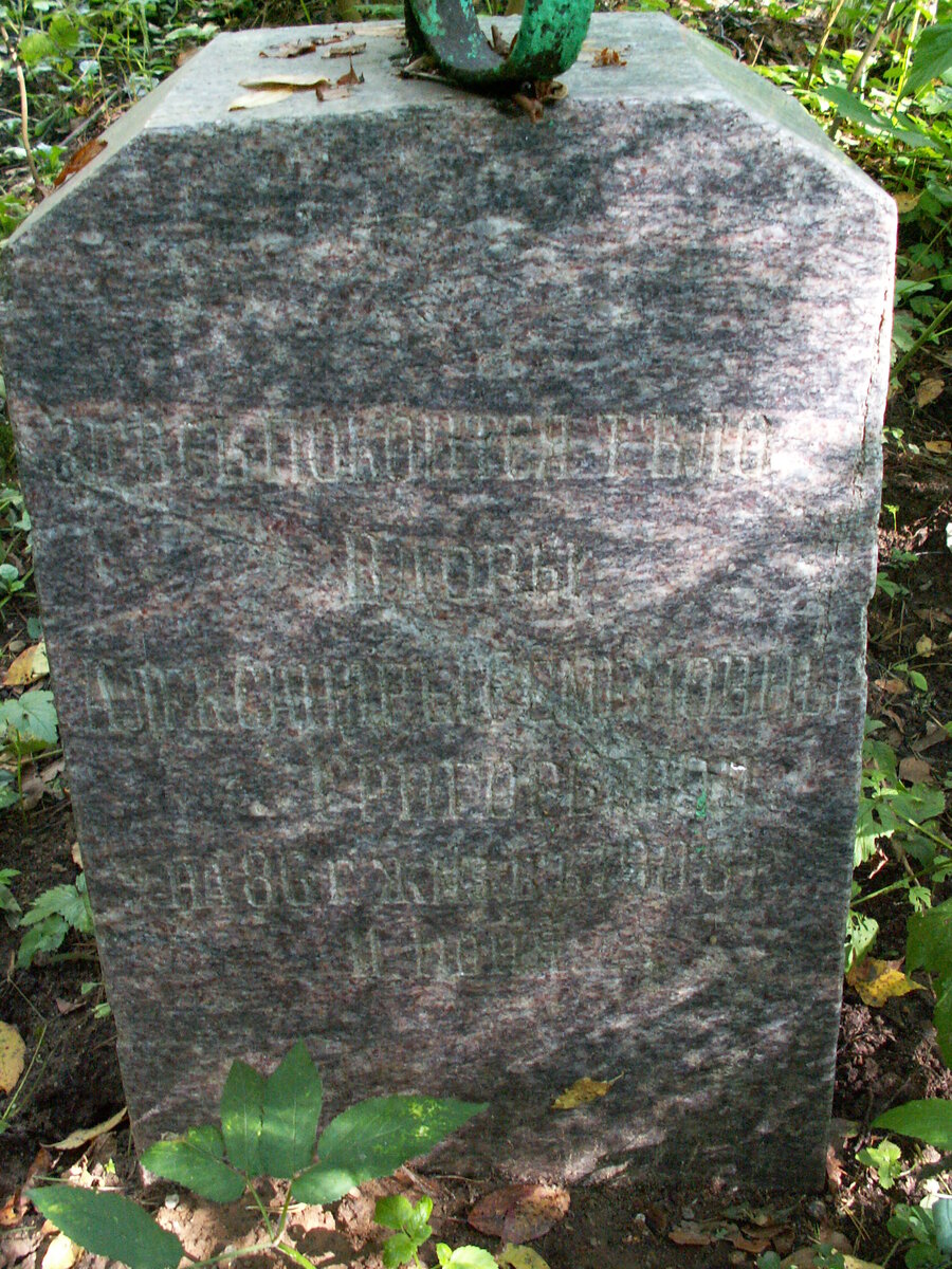 PICT8037.JPG