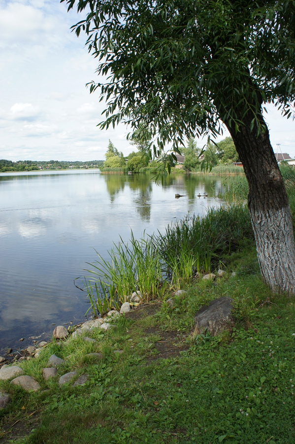 DSC09196.jpg