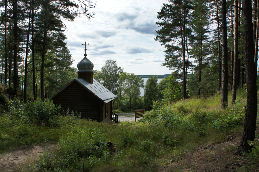 DSC09213.jpg