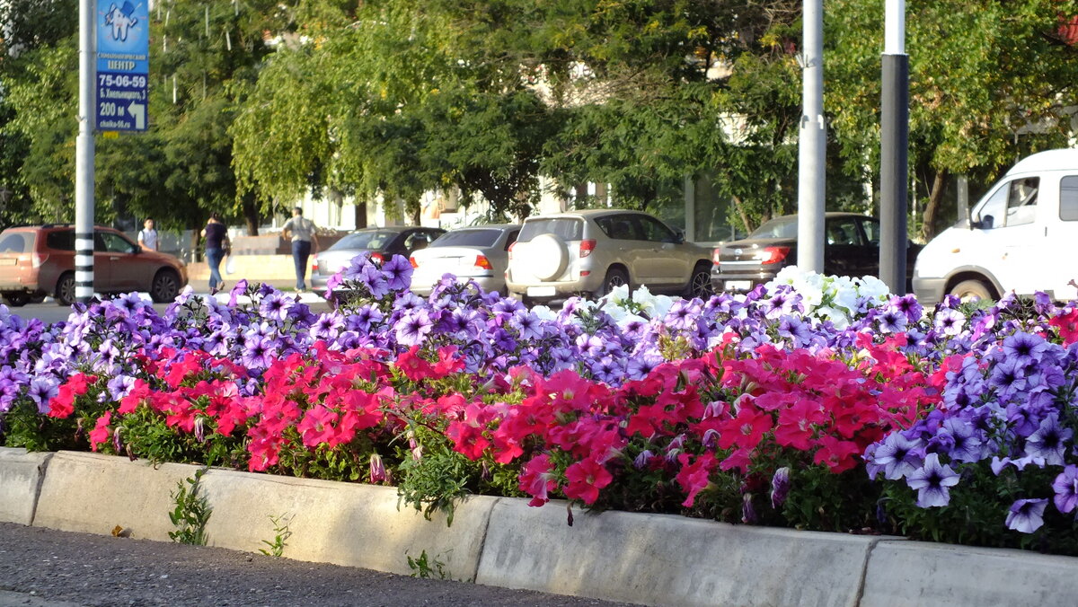 DSCF3499.JPG