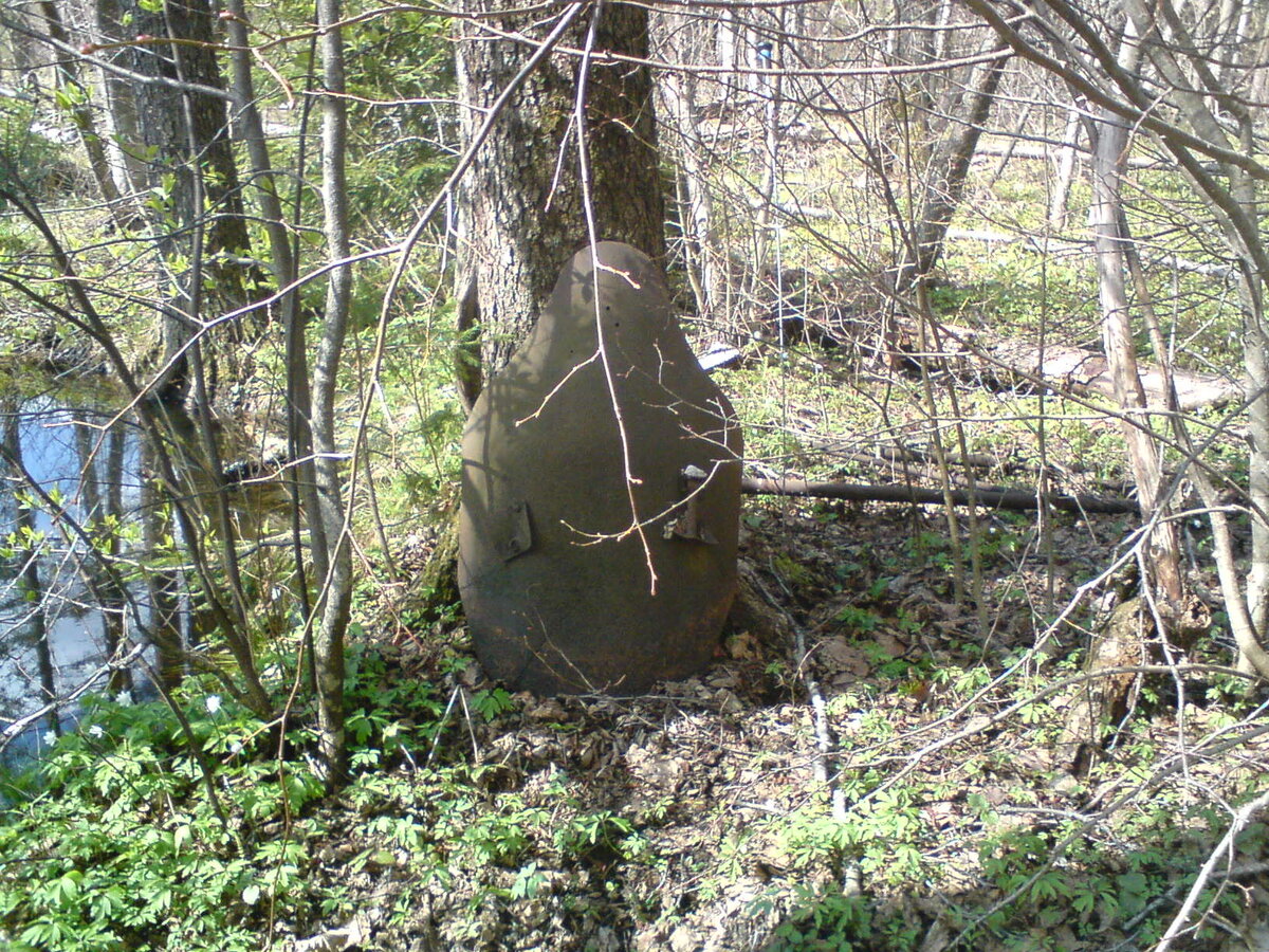 весна 2009г (001).jpg