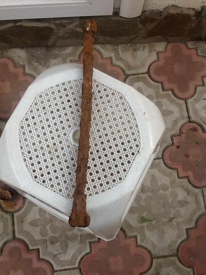 image.jpg