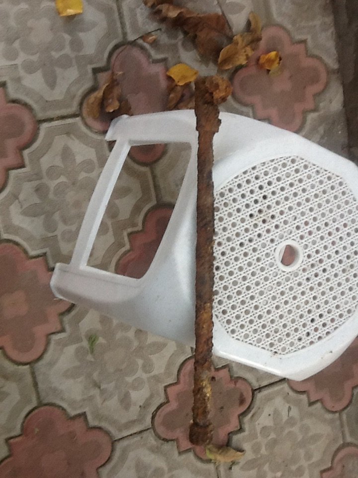 image.jpg
