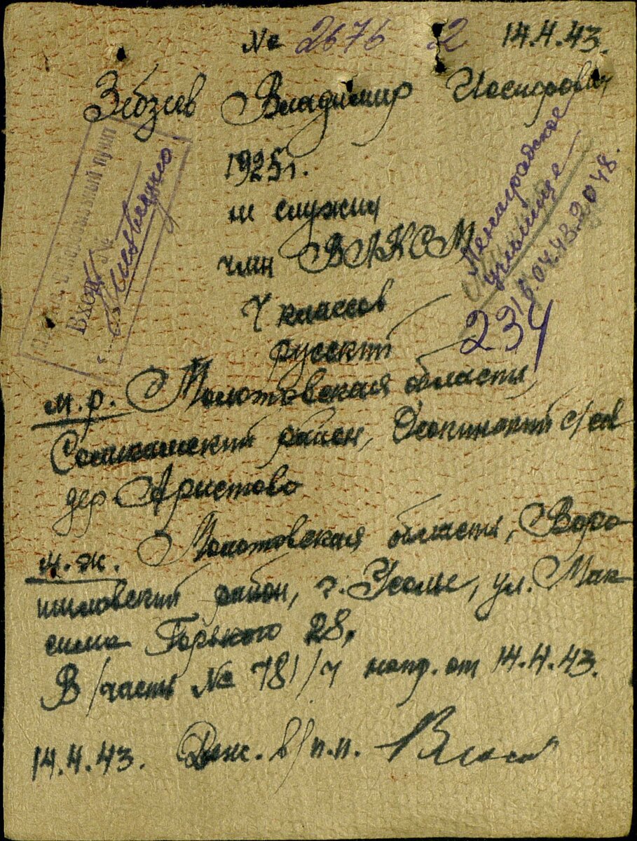 зебзеев.jpg