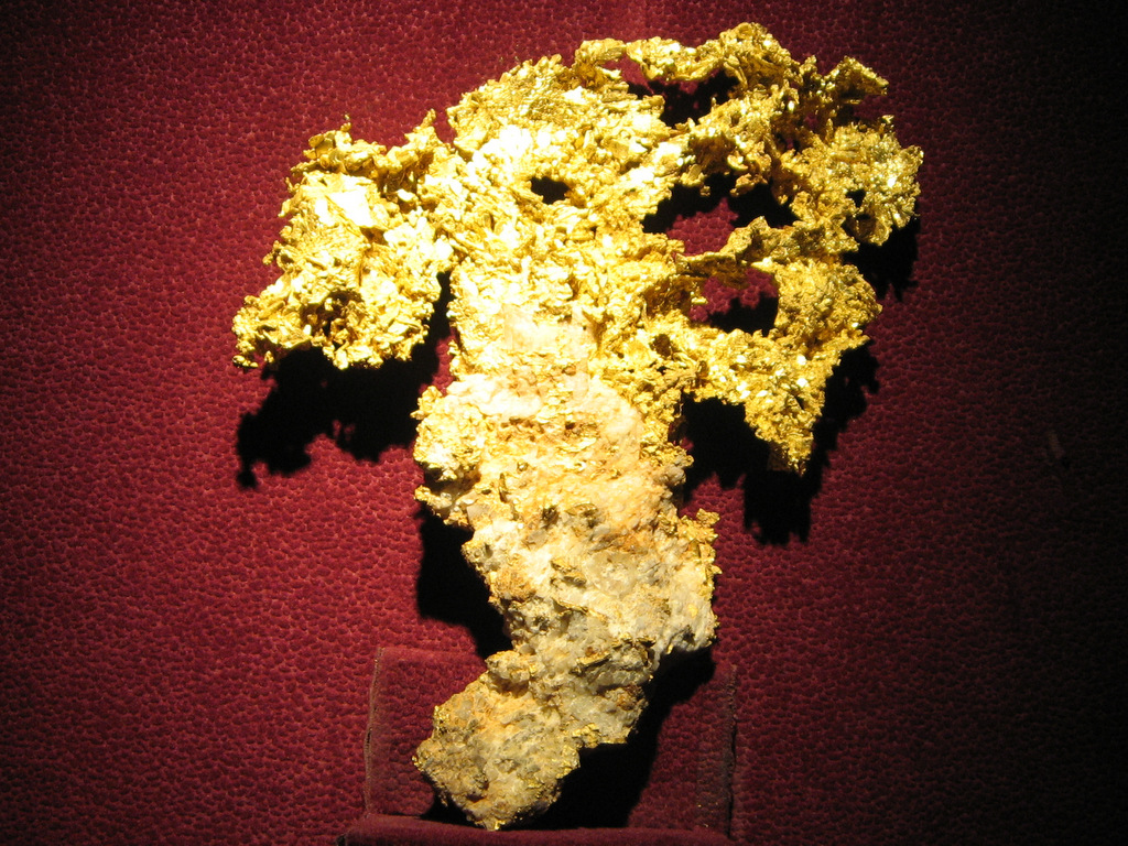 5-IMG_7690.JPG