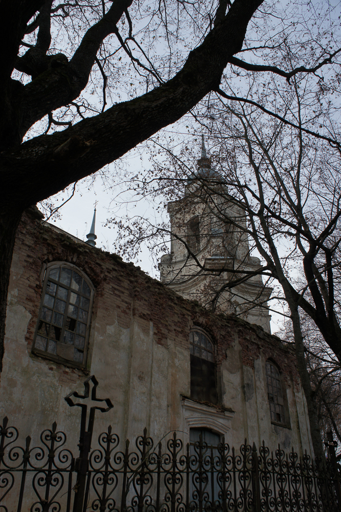 DSC09546.jpg