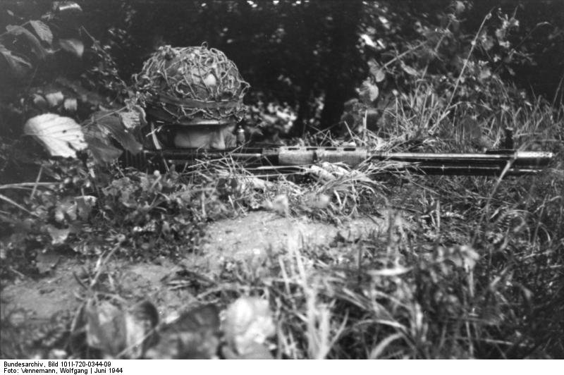 1336189319_weapon_fg42_2.jpg